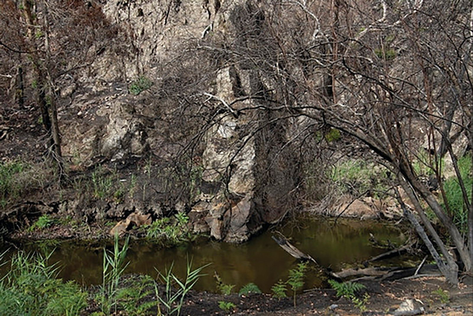 Brisbane Ranges National Park