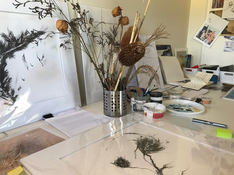 Sandra Blackburne Art Studio And Gallery - Accommodation Hamilton Island 1