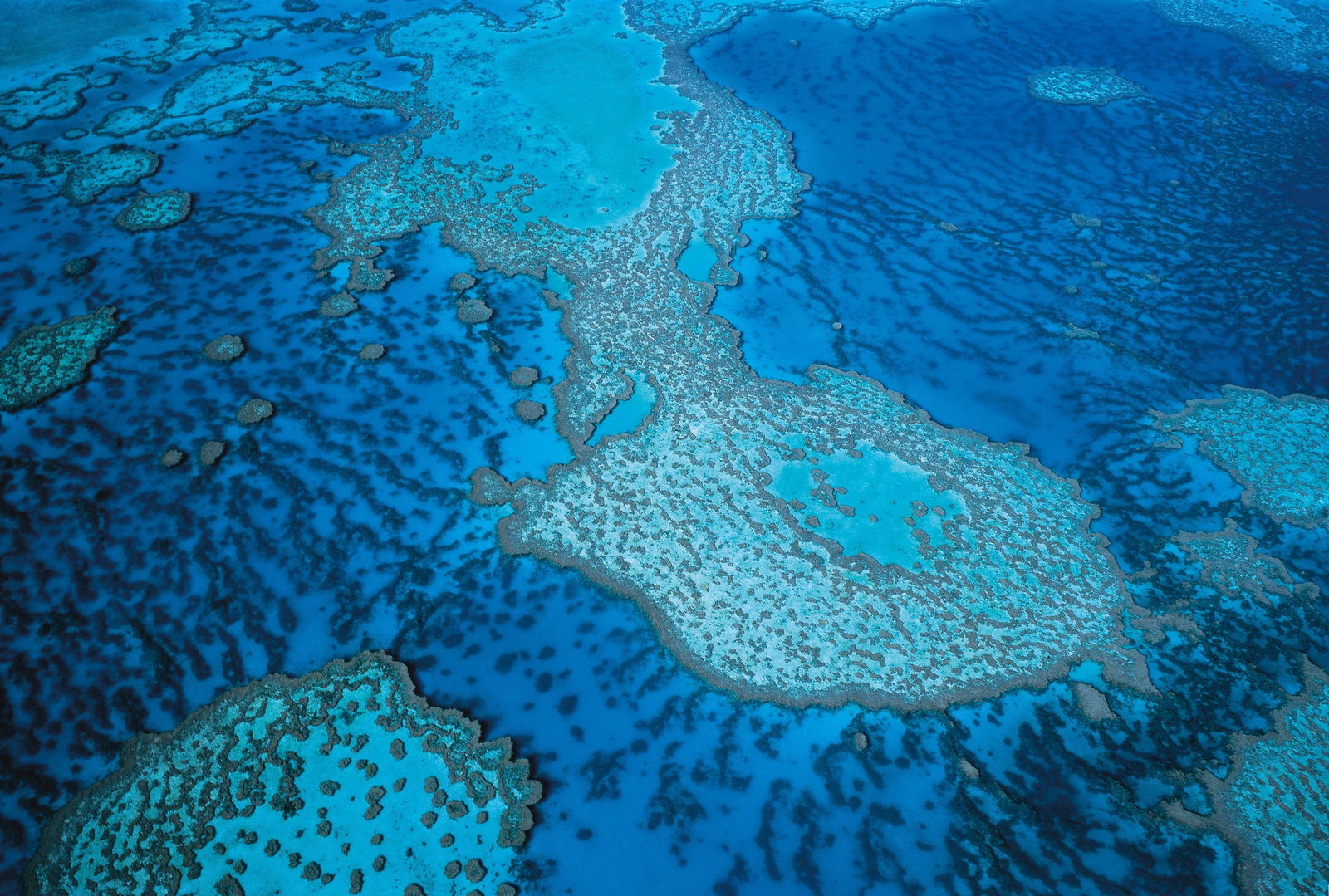 Whitsunday Region Logo and Images