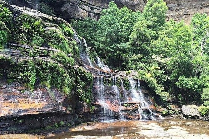 Blue Mountains Highlights & Wildlife Park - thumb 8