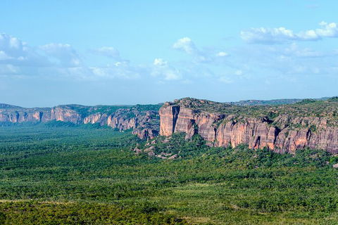 Jabiru 60 Minute Scenic Flight - Holiday Sydney 4