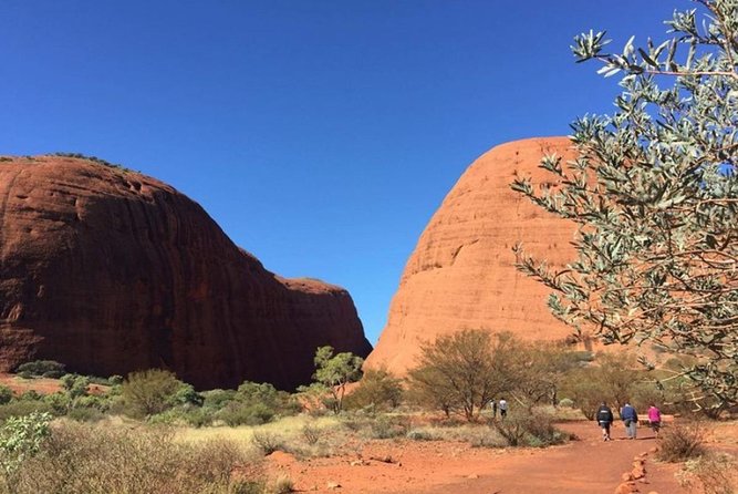 5-Hour Kata Tjuta Sunrise Tour From Ayers Rock With Breakfast - thumb 2