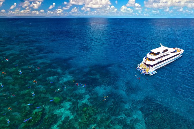 Great Barrier Reef Snorkeling and Diving Cruise from Cairns Logo and Images