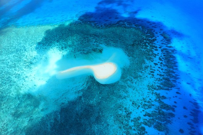 30-Minute Great Barrier Reef Scenic Flight from Cairns Logo and Images