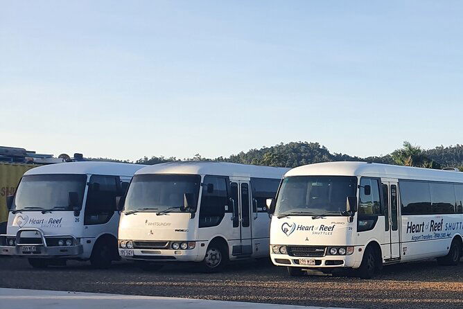 Airport Transfers - One Way Share Shuttle Service - thumb 3