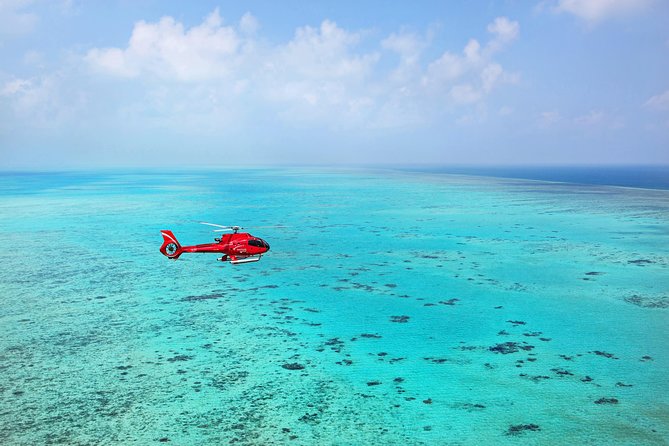 Port Douglas - Cruise and 10 Minute Scenic Flight