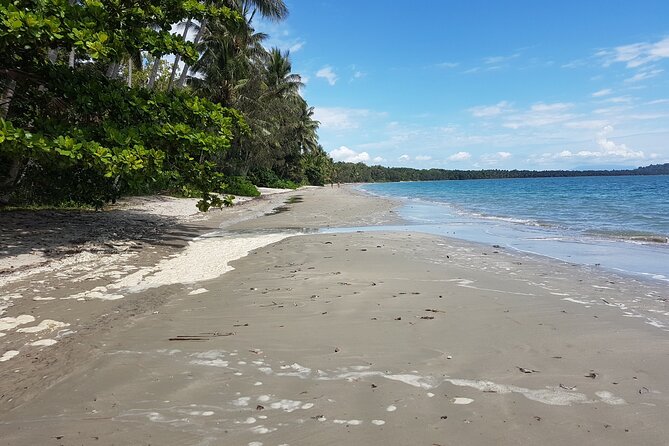 Airport Transfers Between Cairns Airport And Palm Cove - thumb 2