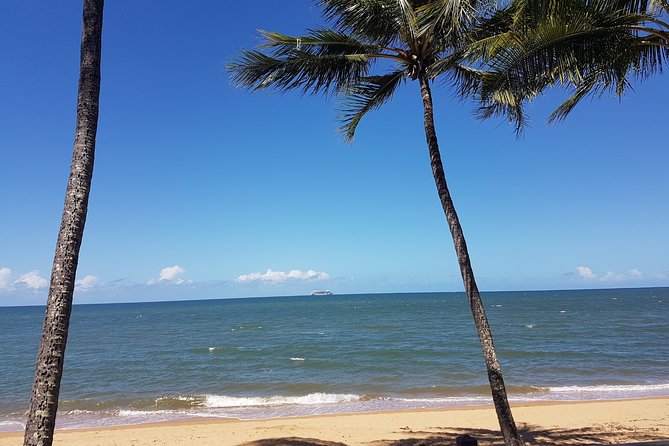 Airport Transfers Between Cairns Airport And Palm Cove - thumb 8