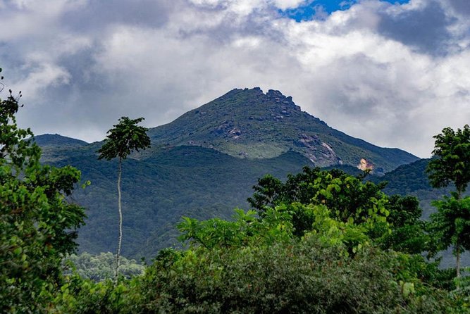 Port Douglas Daintree National Park Boutique Full-Day Tour