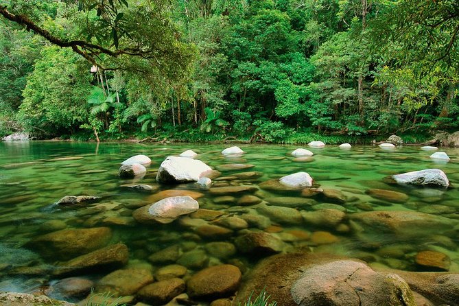 SHUTTLE - Mossman Gorge & Cooya Beach From Port Douglas (Return Transfer) - thumb 3