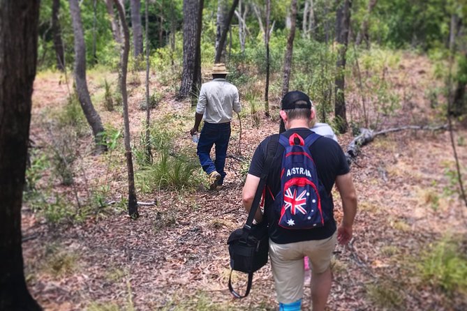 Half Day Aboriginal Rock Art Experience In Queensland - thumb 5