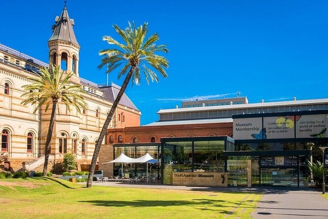 Departure Private Transfers: Adelaide To Adelaide Airport ADL In Luxury Van - thumb 5