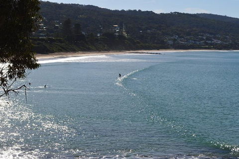 Small Group Great Ocean Road & 12 Apostles Tour - Holiday Melbourne 6