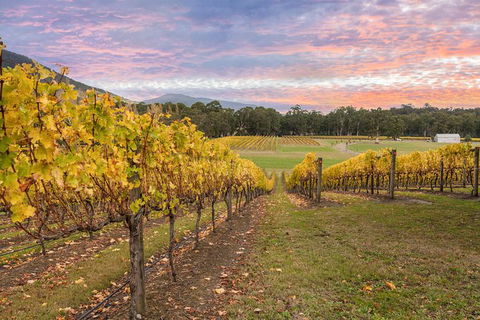 Yarra Valley Boutique Winery Tour From Melbourne - Holiday Sydney 0