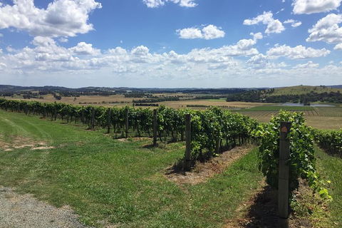Yarra Valley Wine Tasting Tour - Holiday Sydney 1