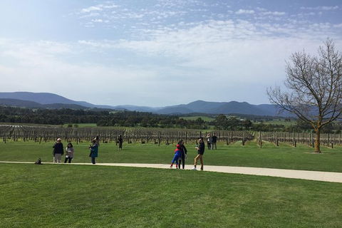Yarra Valley Wine Tasting Tour - Holiday Sydney 2
