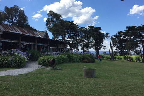 Yarra Valley Wine Tasting Tour - Holiday Sydney 3