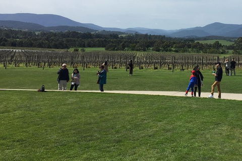 Yarra Valley Wine Tasting Tour - Holiday Sydney 0