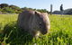 3 Day Great Ocean Road, Phillip Island & Wilsons Promontory Ultimate Tour - thumb 5