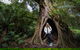3 Day Great Ocean Road, Phillip Island & Wilsons Promontory Ultimate Tour - thumb 2