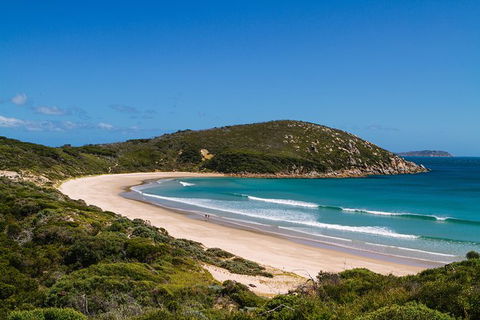 3 Day Great Ocean Road, Phillip Island & Wilsons Promontory Ultimate Tour - Accommodation Australia 8