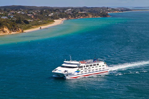 3 Day Great Ocean Road, Phillip Island & Wilsons Promontory Ultimate Tour - Accommodation Australia 6
