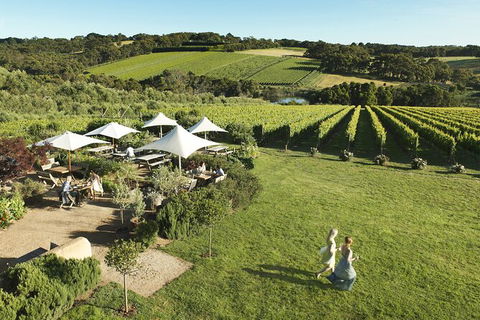 Small Group Mornington Peninsula, Arts, Food And Wine Tour - Victoria Tourism 1