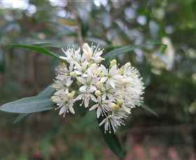 Booderee National Park - Accommodation Port Macquarie 0