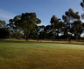Winchelsea Golf Club - Accommodation Noosa 0