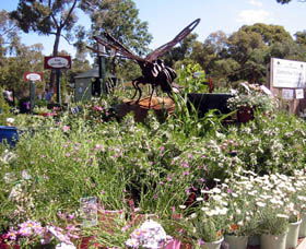Zanthorrea Nursery - Car Rental 0