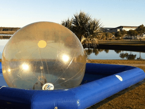 Aussie Waterballs - thumb 3