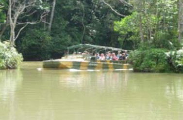 Tropic Wings Coach Tours - Caravan Park Accommodation 1
