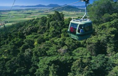Tropic Wings Coach Tours - Caravan Park Accommodation 2