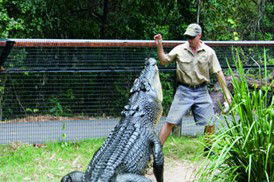 Tropical Horizons Tours - Caravan Park Accommodation 4