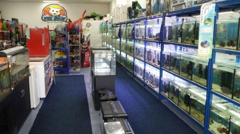 Pet Stop - Car Shop 0