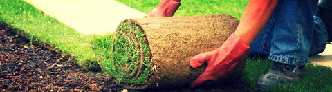 Turfgrass Mackay - Car Shop 15