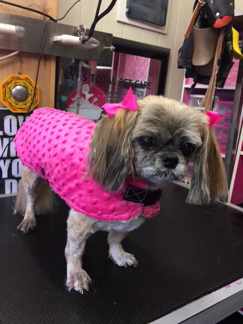 Lyns Total Pet Care - Car Shop 3