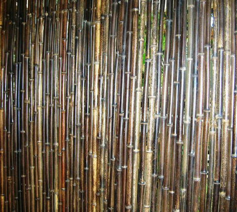 Bamboo Australia Pty Ltd - Car Shop 1