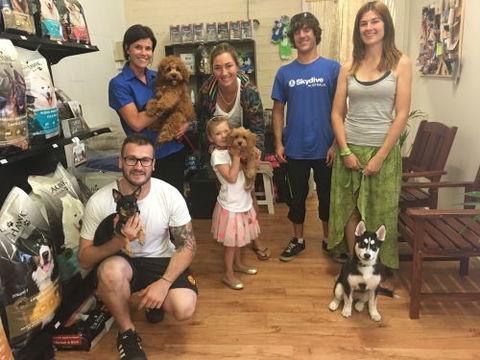 Aloha K9 Services Dog Grooming & Training - Car Shop 1