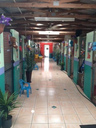 Hillcrest Pet Resort - Car Shop 0