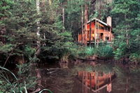 Woodlands Rainforest Retreat
