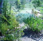Old Miners Cottages Bed  Breakfast - Car Shop