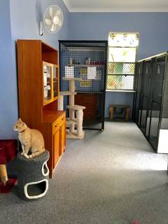 Pinecrest Boarding Kennels & Cattery - Car Shop 4