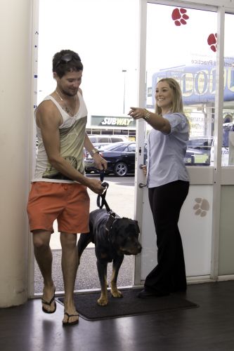 Dog Clubs Bundaberg QLD Car Shop