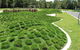 Tropical Lawns Pty Ltd - thumb 1