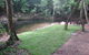 Tropical Lawns Pty Ltd - thumb 2