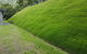 Tropical Lawns Pty Ltd - thumb 9