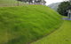 Tropical Lawns Pty Ltd - thumb 10