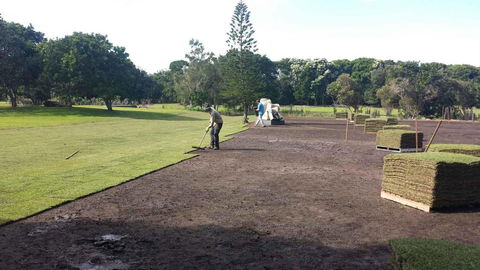 Ballina Turf Farm - Car Shop 1