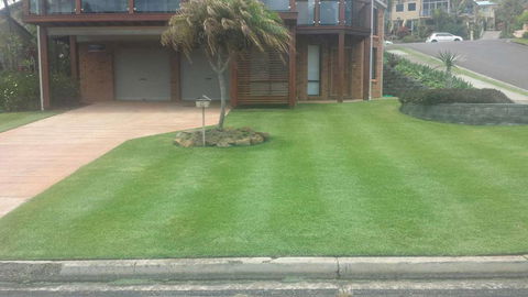 Ballina Turf Farm - Car Shop 2